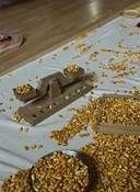 evkor_1_044
